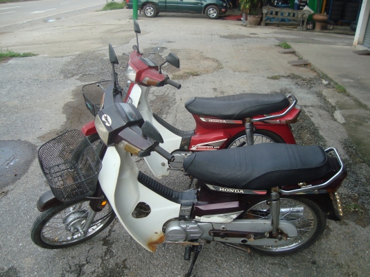 ดรีม ทะเบียน โอน