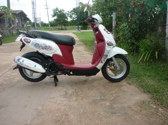 ขาย ฟีโอเล่ หัวฉีด สามคัน ราคาส่งครับ 22500 บาท ขาย ฟีโอเล่ หัวฉีด สามคัน ราคาส่งครับ 22500 บาท