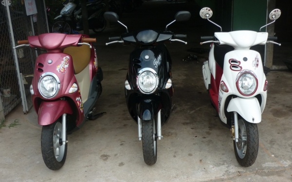 ขาย ฟีโอเล่ หัวฉีด สามคัน ราคาส่งครับ   22500 บาท