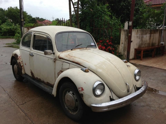 ขายโฟคล์เต่าปี 68 เดิมๆแห้งๆของครบขาย 145,000