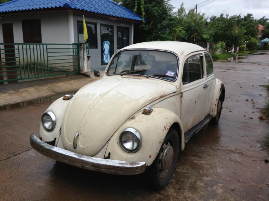 ขายโฟคล์เต่าปี 68 เดิมๆแห้งๆของครบขาย 145,000