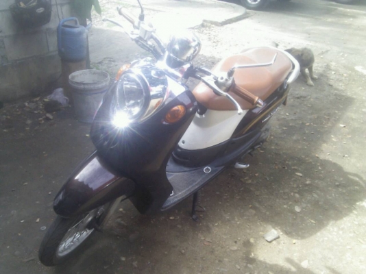 ขายฟิโน่ ปี 50 ( NO BOOK) ภาษีไม่ขาดต่อครับ สภาพดี แบบเดิมๆ เครื่องแน่นๆครับ สวยๆ มีเอกสารหน้าเล่มและป้ายทะเบียนและใบเสียภาษีให้ ครับ อยู่เชียงใหม่ครับ ขายราคา 9,000.- ขายฟิโน่ ปี 50 ( NO BOOK) ภาษีไม่ขาดต่อครับ สภาพดี แบบเดิมๆ เครื่องแน่นๆครับ สวยๆ มีเอกสารหน้าเล่มและป้ายทะเบียนและใบเสียภาษีให้ ครับ อยู่เชียงใหม่ครับ ขายราคา 9,000.-