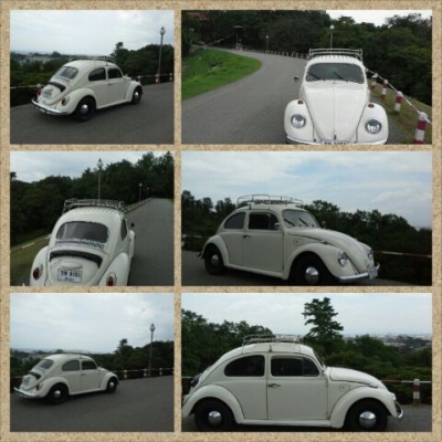 sale BEETLE เครื่องจบ สีสวย ขับ ชิล sale BEETLE เครื่องจบ สีสวย ขับ ชิล