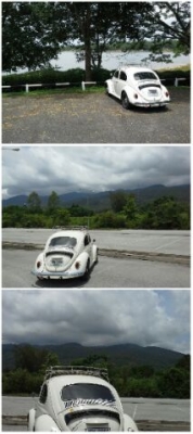 sale BEETLE เครื่องจบ สีสวย ขับ ชิล sale BEETLE เครื่องจบ สีสวย ขับ ชิล