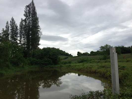 ที่ดินสวยราคาไม่แพง