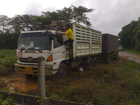 ขาย HINO MECA 260 แม่ลูกไม่ดั๊ม กะบะเหล็กคอกเกษตร 2เพลา