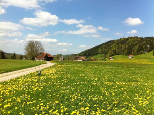 ขายแมคโคอิตาชิ PC 200  รุ่น 3 สภาพพร้อมใช้งาน