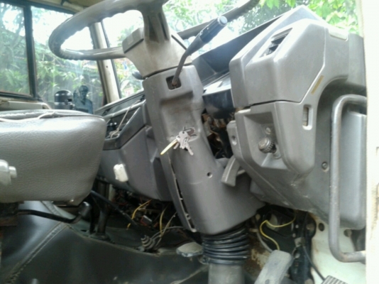 ขายไอ้หลงหัว-คัทซีMMTF528CTC***** ขายไอ้หลงหัว-คัทซีMMTF528CTC*****