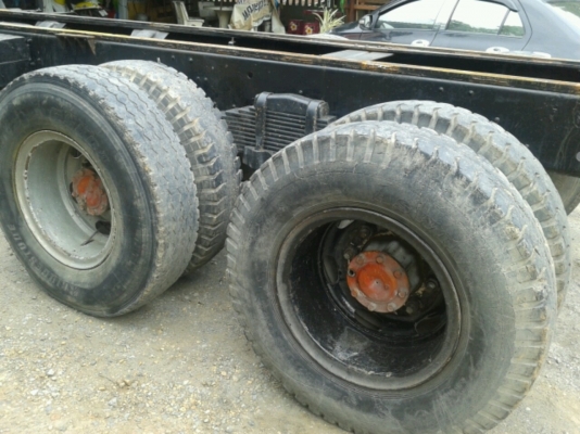 ขายไอ้หลงหัว-คัทซีMMTF528CTC***** ขายไอ้หลงหัว-คัทซีMMTF528CTC*****