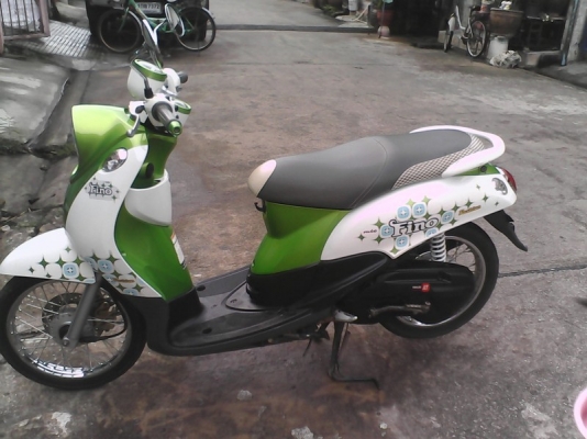 ขาย fino เกย์แยก  ลาย fashion