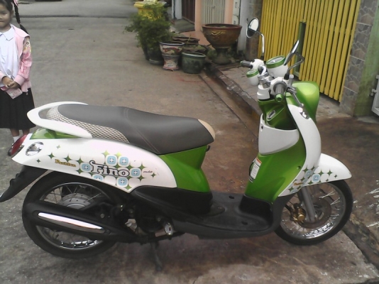 ขาย fino เกย์แยก  ลาย fashion