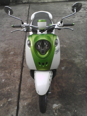 ขาย fino เกย์แยก  ลาย fashion