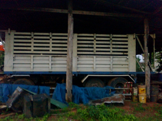 ขายด่วน ลูกพวง ไม่ดั้ม 3 คาน