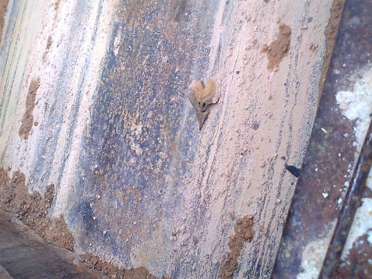 ขาย..รถหกล้อดั้ม ISUZU TX เครื่องยนต์ DA120 จำนวน 125 แรงม้า เครื่องดี คัสซีสวย มีแอร์ มีพวงมาลัยเพาเวอร์เบาแรง มีทะเบียนครบ.