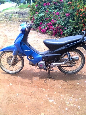 ซากเวฟ100ปี46