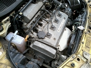 ขายรถ fiat punto