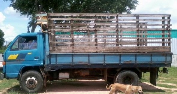 ISUZU NPR 115 HP 4BD1 กระบะคอกไม้ความยาว 4.30 เมตรสภาพดี ภายในห้องเก๋งคอนโซลครบพร้อม เกียร์สั้น เครื่องแห้งแรงดีไม่เยิ้ม ช่วงล่างคัชซีสวยเดิมๆ ยาง 8.25 ขอบ 16 สภาพดี 70\% พร้อมใช้งาน เอกสารทะเบียนครบพร้อมโอน ราคาต่อรองได้ครับ