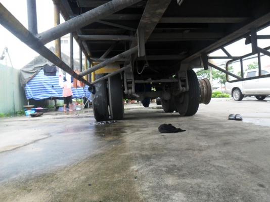 Jost หางพื้นเรียบ