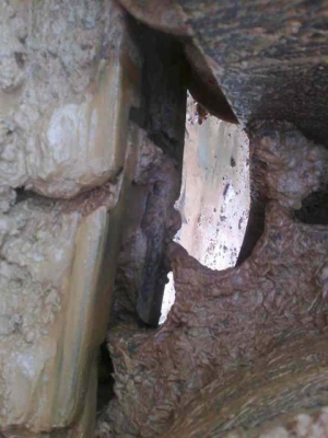 ขายด่วนรถแบคโฮ CAT 320 D  กระบอกสีดำ  พร้อมใช้งาน  เล่มทะเบียนพร้อม