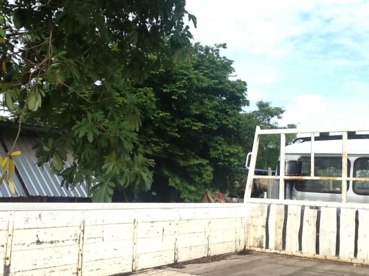 ขายด่วน FF177 เครื่องEH700 ยาว7เมตร ยาง900/20ยาง70\%เเคชชีสวยพร้อมใช้งานลดสุุดดพี่น้องอีก200000เหลือ430000ครับพี่น้อง