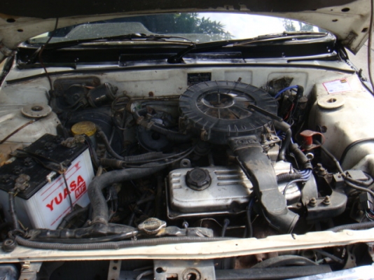 ขายแล้ว