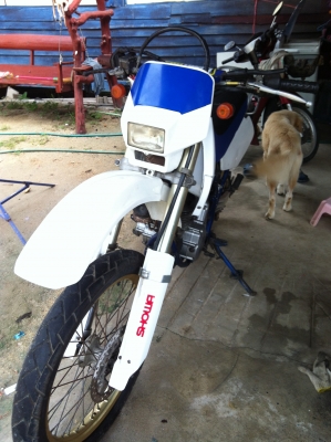 ขาย suzuki dr 250 สี่จังหวะ สต๊าท 2 ระบบ 38000 แถมเครื่องอะหลั่ยให้ 1 เครื่อง