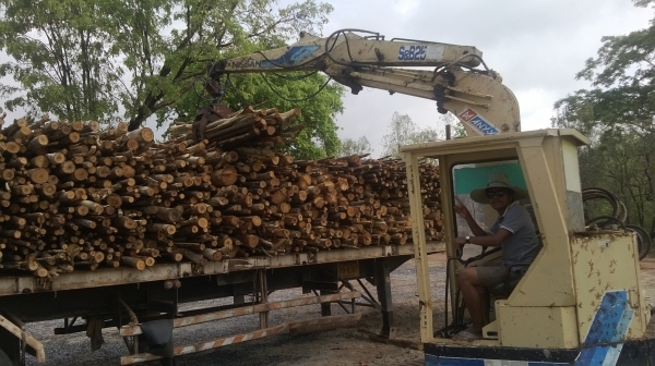 ขายรถแบคโฮแทคยางติดปากคีบไม้