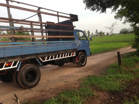 ISUZU NPR เครื่อง 4BE1-110แรงม้า มีภาพวีดีโอ เครื่องดี แน่น แห้ง ขับดี เกียร์ยาว น๊อตล้อ 6 ตัวหน้า-ห