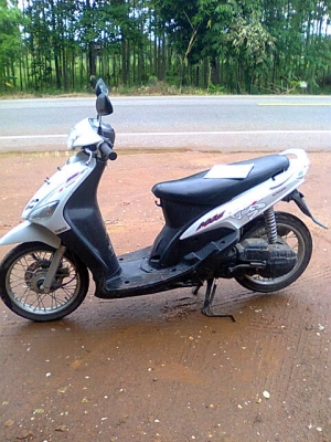 หลักฐานการส่งมี49สีขาว