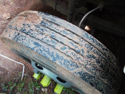 ขายด่วนรถ6ล้อเมก้าชีลี้500เครือง175แรงม้าปี52ยาว6.50.ม