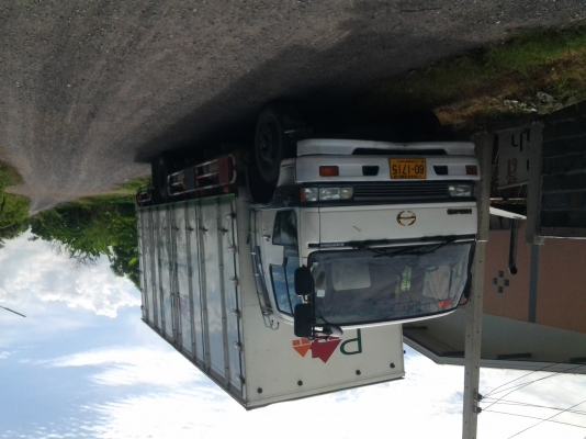 ขายรถบรรทุกหกล้อใหญ ฮิโน่ สมอทอง เครื่อง210 แรง ประตู 10 บาน ยาว 7.50 เมตร  รถพร้อมใช้งาน ปัจจุบันวิ่งงานประจำอยู่ คลอง 5 ปทุม