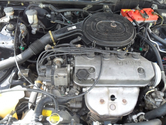 ขาย1995 HONDA CIVIC 3ประตู ขาย1995 HONDA CIVIC 3ประตู