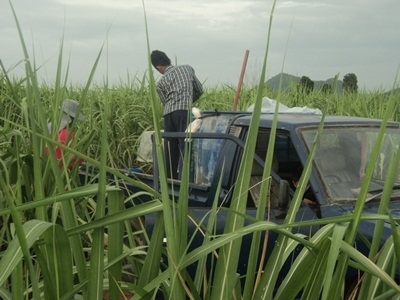 ขายรถนิสสันเอสดี 23 เอาไว้ไปไร่ไปนาใด้มีทะเบียนไม่ขาด(ขายตามสภาพ)รถก็ใช้งานอยู่ ขายรถนิสสันเอสดี 23 เอาไว้ไปไร่ไปนาใด้มีทะเบียนไม่ขาด(ขายตามสภาพ)รถก็ใช้งานอยู่