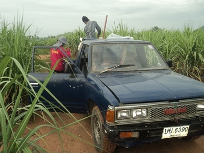 ขายรถนิสสันเอสดี 23 เอาไว้ไปไร่ไปนาใด้มีทะเบียนไม่ขาด(ขายตามสภาพ)รถก็ใช้งานอยู่