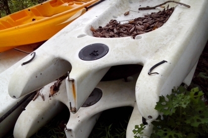 โครงเรือใบ hobie ราคาถูกๆ โครงเรือใบ hobie ราคาถูกๆ