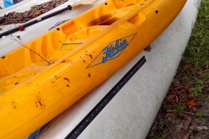 โครงเรือใบ hobie ราคาถูกๆ โครงเรือใบ hobie ราคาถูกๆ