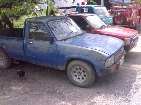 ขายม้ากระโดด