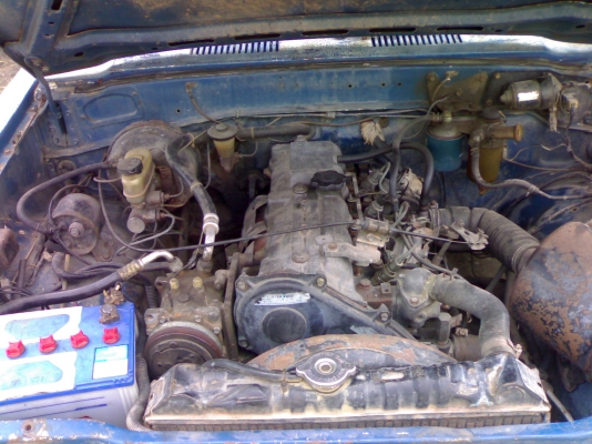 ขายม้ากระโดด