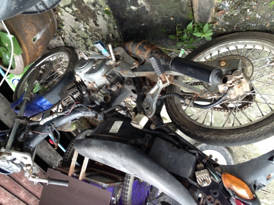 ขาย เทน่า