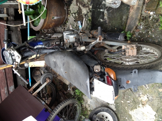 ขาย เทน่า