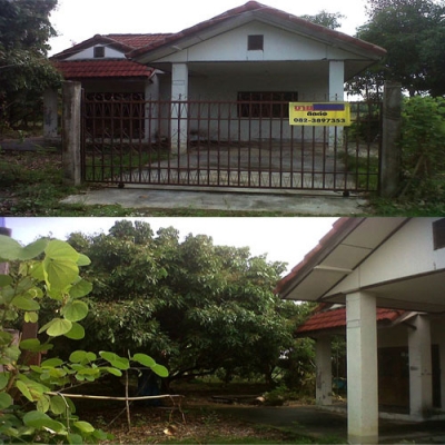 ขายด่วนบ้านพร้อม ที่ดิน ด่วน เนื้อที่ 2งาน ที่ ป่าซางลำพูน