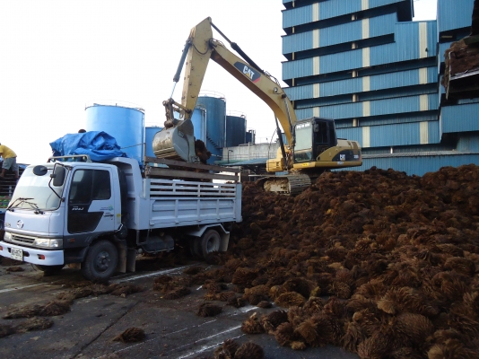 ขาย CAT 320D ไมล์ชม. 8,xxx เอกสารเล่มทะเบียน(ตค 3182) ไฟฟ้าครบ