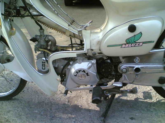 ขาย C70(ขาวมุข) เครื่อง LF125 เอกสารเครื่อง เครื่องสมบูรณ์โครงไม่ผุสีสวย ขาย 19500 บาท