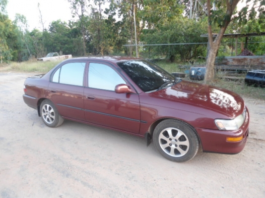 -ขายT0Y0TA 3 ห่วงสวยจัดไม่ต้องทําอะไรอีกแล้ว ถูกๆ