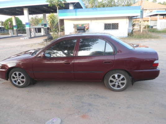 -ขายT0Y0TA 3 ห่วงสวยจัดไม่ต้องทําอะไรอีกแล้ว ถูกๆ