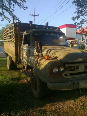 ขาย6ล้อ ISUZU คอกเกษตร สภาพสวยพร้อมใช้ ติดต่อได้ที่คุณ อ๊อฟ พิจิตร 086-737-9991