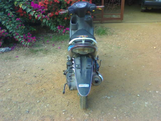 สเตปปี49