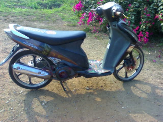 สเตปปี49