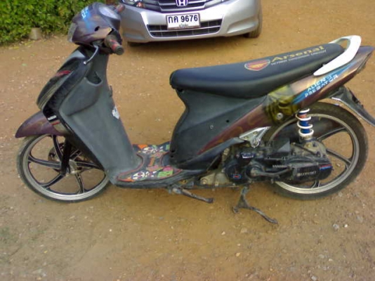 สเตปปี49