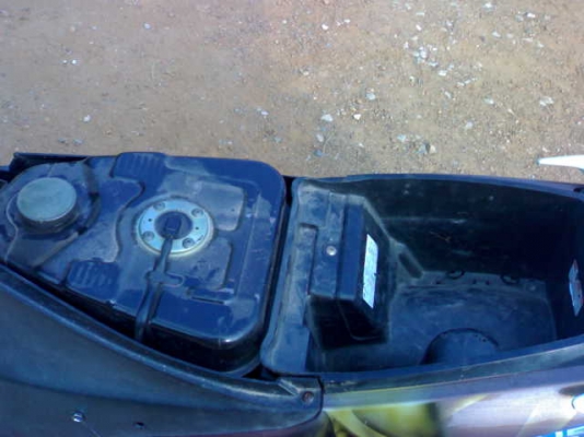 สเตปปี49